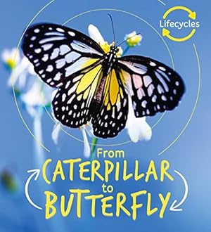 Seller image for Lifecycles: Caterpillar to Butterfly: 1 for sale by WeBuyBooks