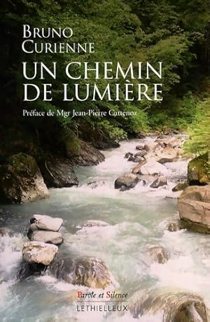 Un chemin de lumi re : Petite introduction   la vie mystique chr tienne - Bruno Curienne