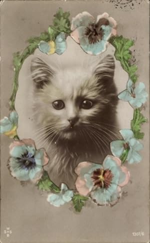 Passepartout Ansichtskarte / Postkarte Katze, Tierportrait, Stiefmütterchen
