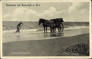 Ansichtskarte / Postkarte Katwijk aan Zee Südholland, Muschelfischer, Strand, Pferd, Fischfang