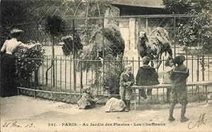 Ansichtskarte / Postkarte Paris V, Jardin des Plantes, Les Chameaux