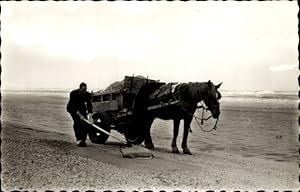 Foto Ansichtskarte / Postkarte Muschelfischer, Strand, Pferd, Fischfang