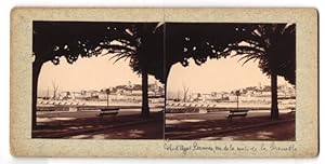 Stereo-Fotografie Keystone View Co., Meadville, Ansicht Cannes, vue general prise de la route, Co...