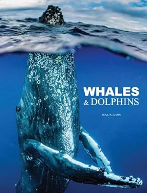 Bild des Verkufers fr Whales & Dolphins zum Verkauf von AHA-BUCH GmbH