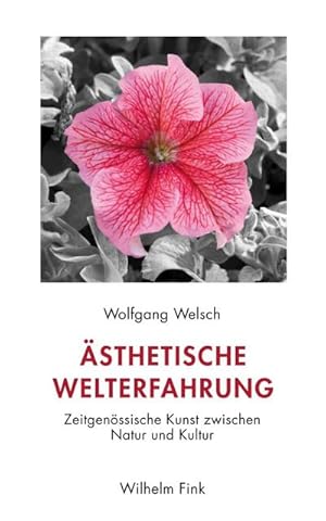 Seller image for sthetische Welterfahrung for sale by Rheinberg-Buch Andreas Meier eK