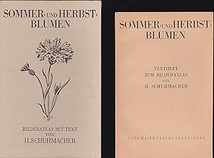 Sommer- und Herbstblumen - Bilderatlas und Text