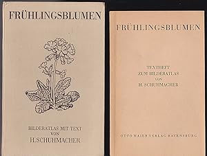 Frühlingsblumen - Bilderatlas und Text