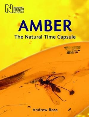 Immagine del venditore per Amber: The Natural Time Capsule venduto da WeBuyBooks