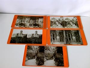 5 Fotos Stereoskopie/ Stereofotografie. Wartburg. Lutherstube, Der erste Hof.Burgansicht, Umgebun...