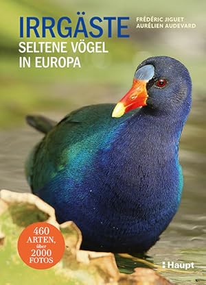 Irrgäste - Seltene Vögel in Europa