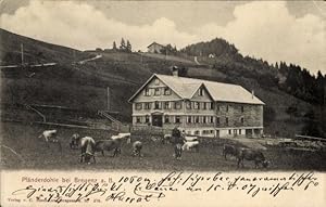 Ansichtskarte / Postkarte Bregenz am Bodensee Vorarlberg, Pfänderdohle