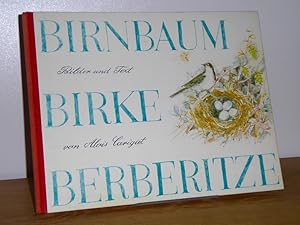 Birnbaum, Birke, Berberitze. Eine Geschichte aus der Bündner Bergen.