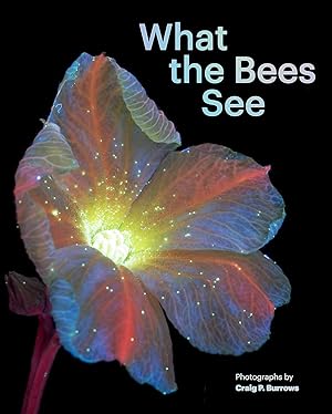 What the bees see / photographs by Craig P. Burrows