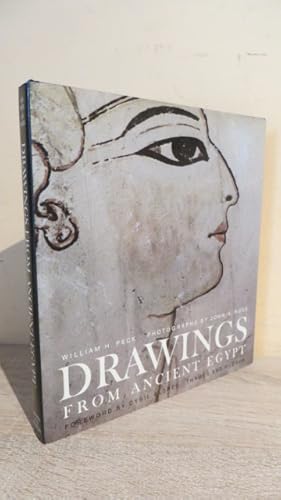 Immagine del venditore per Drawings from Ancient Egypt venduto da Parrott Books