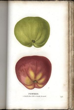 Bild des Verkufers fr LA BOTANIQUE, ou Histoire et Figure en Couleur des Fleurs et des Fruits de France ou Naturaliss sur le Sol Franais zum Verkauf von Charles Agvent,   est. 1987,  ABAA, ILAB