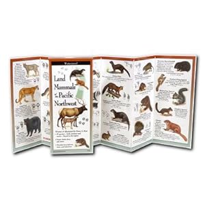 Image du vendeur pour Land Mammals of the Pacific Northwest (Poster) mis en vente par BargainBookStores