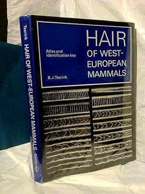 Imagen del vendedor de HAIR OF WEST EUROPEAN MAMMALS: ATLAS AND INTERROGATION KEY a la venta por Second Story Books, ABAA