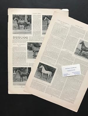 Image du vendeur pour [Two Articles on Arabian Horses] mis en vente par Robin Bledsoe, Bookseller (ABAA)