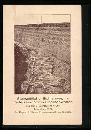 Ansichtskarte Federseemoor, Steinzeitlicher Bohlenweg, Ausgrabung 1920