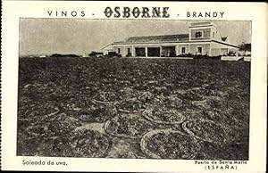 10 alte Ansichtskarte / Postkarte Werbung Vinos Osborne Brandy, Puerto de Santa Maria Spanien, di...