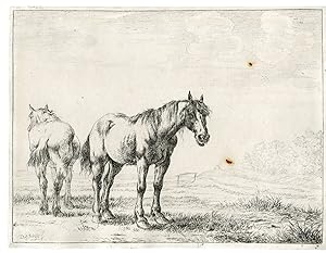 Antique Master Print-HORSES-LANDSCAPE-Stoop-1651