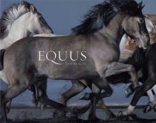 Immagine del venditore per Equus: Tim Flach venduto da WeBuyBooks