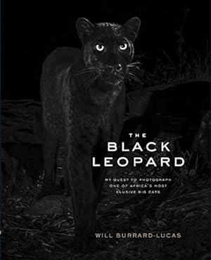 Bild des Verkufers fr The Black Leopard: My Quest to Photograph One of Africas Most Elusive Big Cats zum Verkauf von WeBuyBooks