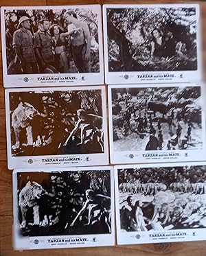 Johnny Weissmuller stars in TARZAN AND HIS MATE - A Fine Set of 6 "Front of House" lobby cards (o...