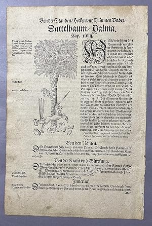 Image du vendeur pour Kreuter Buch. Kreuterbuch. Kreutterbuch (Book of Herbs) [leaf with woodcut] mis en vente par Books & Bidders Antiquarian Booksellers