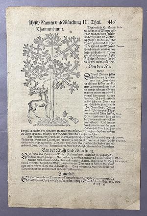 Image du vendeur pour Kreuter Buch. Kreuterbuch. Kreutterbuch (Book of Herbs) [leaf with woodcut] mis en vente par Books & Bidders Antiquarian Booksellers