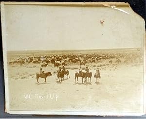 Photograph "Cattle Round up" Texas