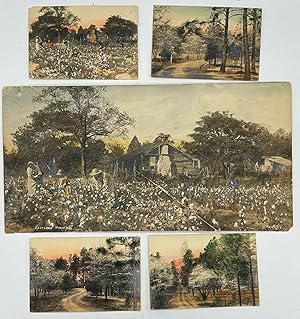 Two Black women and four Black children picking cotton in front of their clapboard house and outb...