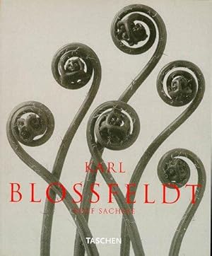 Bild des Verkufers fr Karl Blossfeldt: Photographs (Albums S.) zum Verkauf von WeBuyBooks