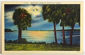 Bild des Verkufers fr Moonlight Scene in Beautiful Florida - Postcard zum Verkauf von Argyl Houser, Bookseller