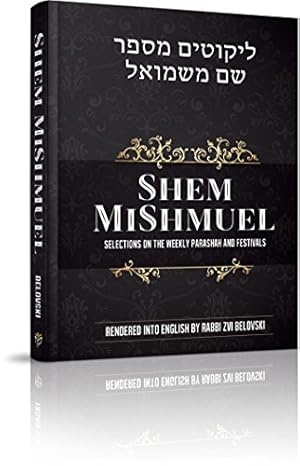 Immagine del venditore per Shem MiShmuel venduto da WeBuyBooks