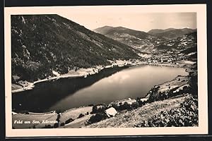 Ansichtskarte Feld am See /Kärnten, Blick auf den grossen See