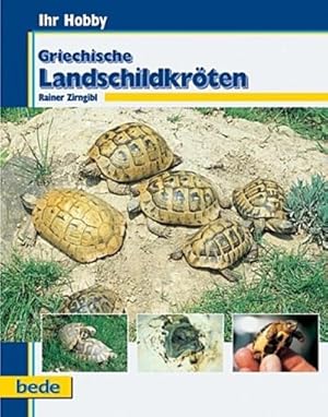 Bild des Verkufers fr Griechische Landschildkrten, Ihr Hobby zum Verkauf von AHA-BUCH GmbH