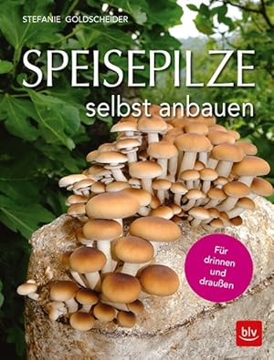 Speisepilze selbst anbauen Für drinnen und draußen