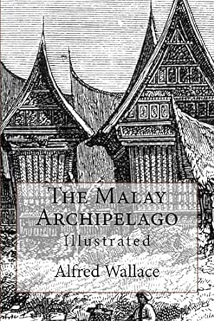 Bild des Verkufers fr The Malay Archipelago: Illustrated zum Verkauf von WeBuyBooks 2