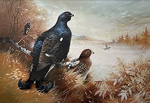 Alan Hayman - BLACK GROUSE [Acrylic]