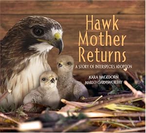 Seller image for Hawk Mother Returns : A Story of Interspecies Adoption for sale by GreatBookPrices
