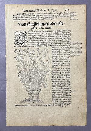 Image du vendeur pour Kreuter Buch. Kreuterbuch. Kreutterbuch (Book of Herbs) [leaf with woodcut] mis en vente par Books & Bidders Antiquarian Booksellers