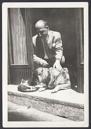 Animali 1960, Cane e gatto nell'uscio di casa, Fotografia vintage
