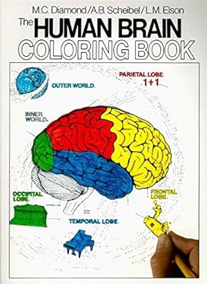 Seller image for The Human Brain Coloring Book: A Coloring Book (Coloring Concepts) for sale by WeBuyBooks