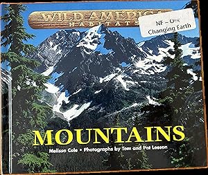 Imagen del vendedor de Mountains a la venta por The Story Shoppe