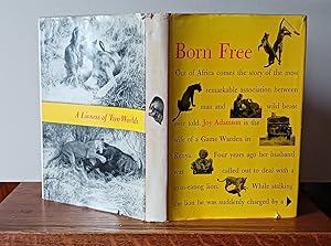 Born Free: A Lioness of Two Worlds