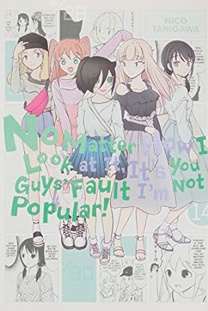 Bild des Verkufers fr No Matter How I Look at It, It's You Guys' Fault I'm Not Popular!, Vol. 14: Volume 14 zum Verkauf von WeBuyBooks