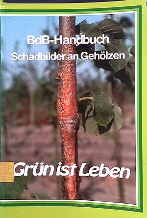 Seller image for Schadbilder an Gehlzen for sale by books4less (Versandantiquariat Petra Gros GmbH & Co. KG)