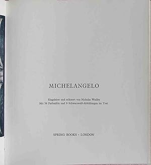 Imagen del vendedor de Michelangelo. a la venta por books4less (Versandantiquariat Petra Gros GmbH & Co. KG)