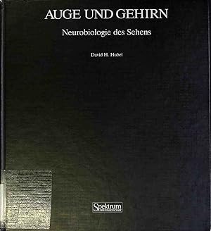 Imagen del vendedor de Auge und Gehirn: Neurobiologie des Sehens. Spektrum-Bibliothek ; Bd. 20 a la venta por books4less (Versandantiquariat Petra Gros GmbH & Co. KG)